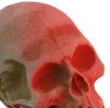 Skull Logo